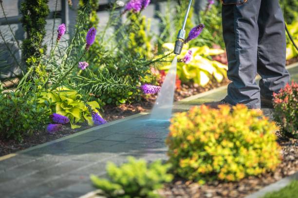 Best Winterizing Services  in Creighton, NE